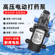 Agricultural Sprayer Brushed Water Pump 60/80/100/120W Automatic for Drone Spraying
