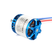 SUNNYSKY 3rd Gen X2820 Brushless Motor for Hobby Drone/Fixed-wing Aircraft Power KV570/KV1000